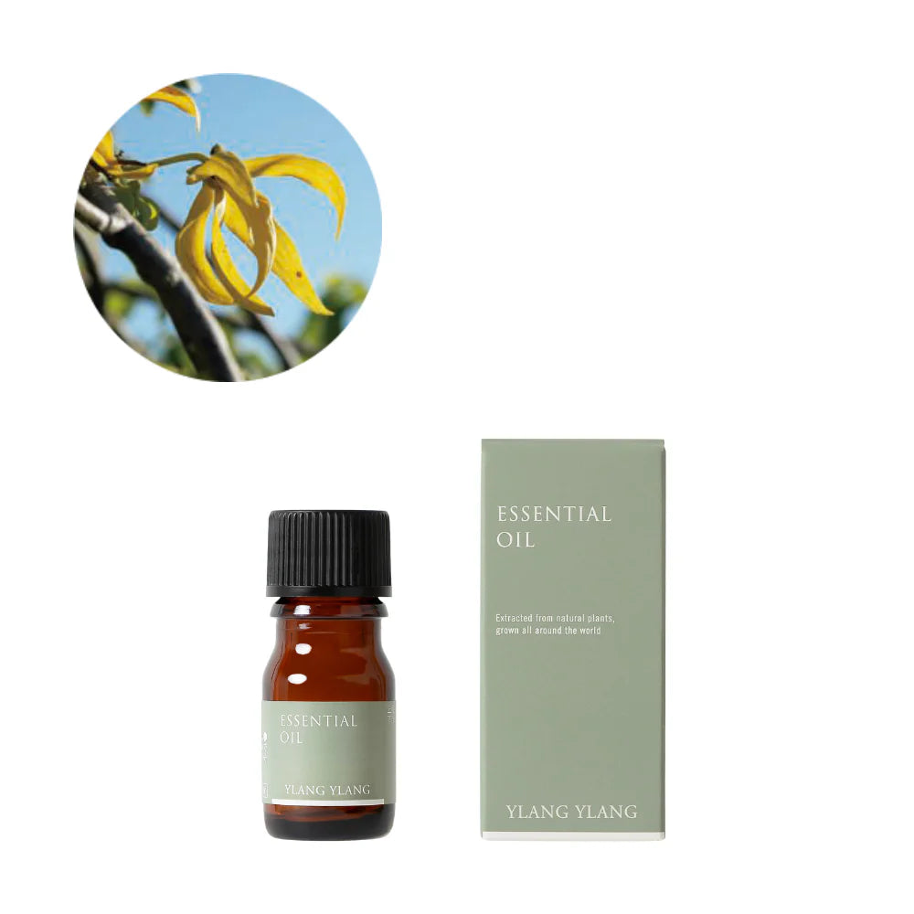 アロマオイル イランイラン（精油） 3ml / 生活の木 – Craftie Home