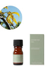 アロマオイル イランイラン(精油) 3ml / 生活の木