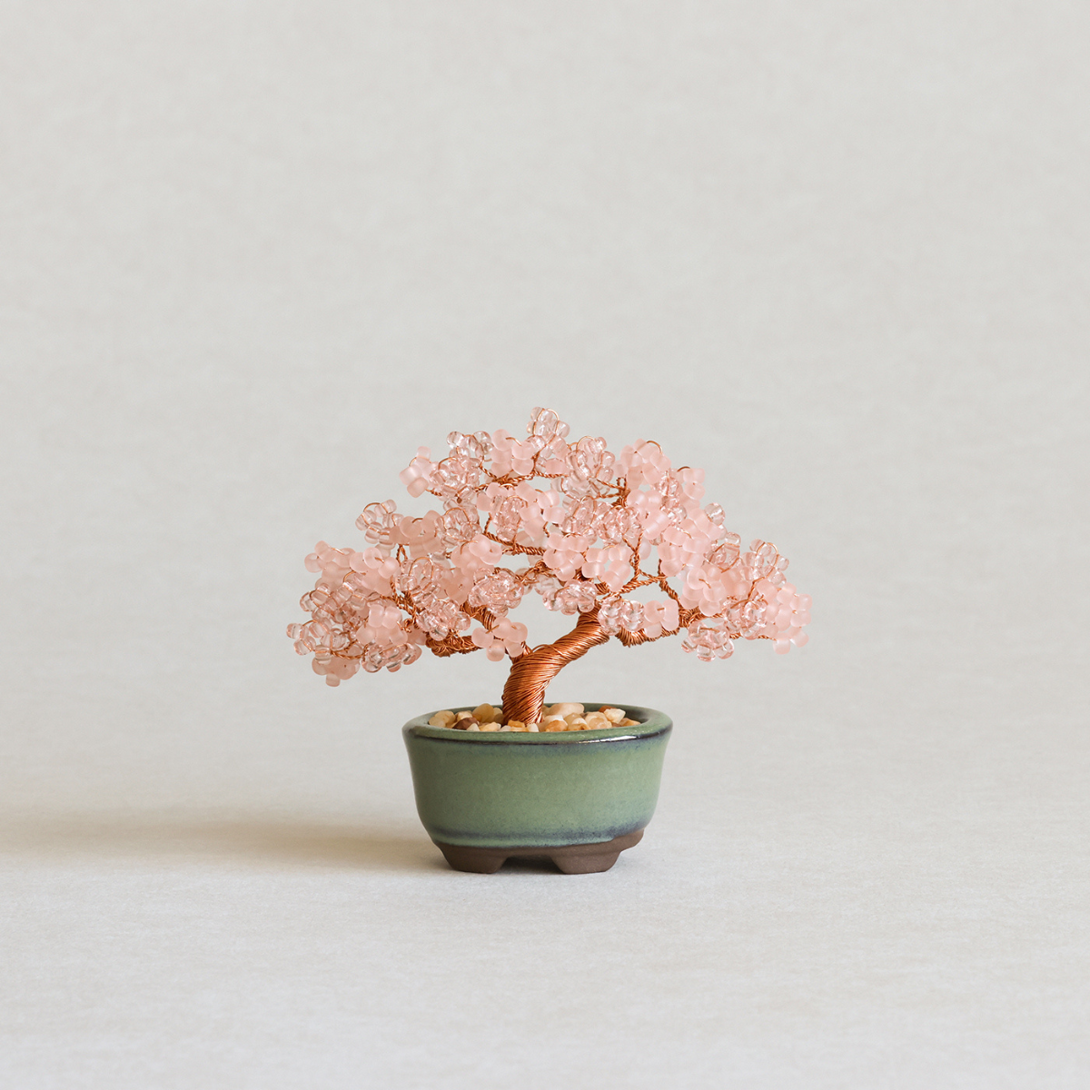 ネジッテBONSAIキット（桜）/ MIYUKI FACTORY – Craftie Home