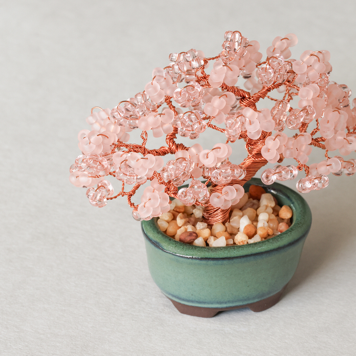 ネジッテBONSAIキット（桜）/ MIYUKI FACTORY – Craftie Home