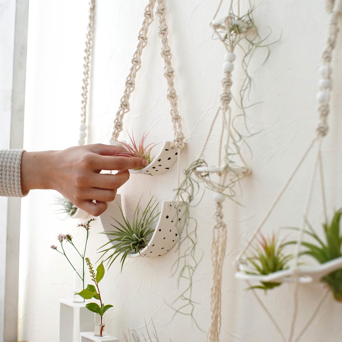 DSC09467_51e8db3c-6b79-4b19-