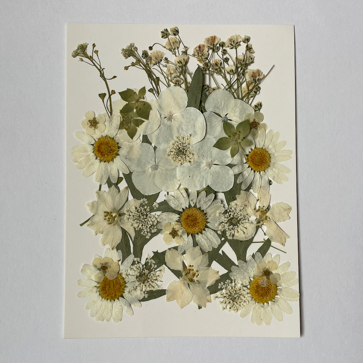 手作り　押し花額　57cm×47cm 手作り 押し花額 57cm×47cm コレクション