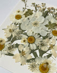 押し花セット
