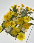 押し花セット