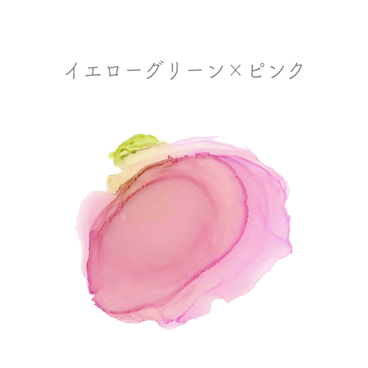 アルコールインク 10ml （ピンク） – Craftie Home (クラフティホーム)