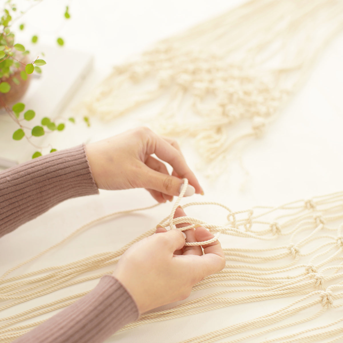 DSC00071_11b4b292-8707-4e67-