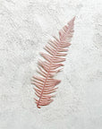 山シダ(ピンクベージュ)