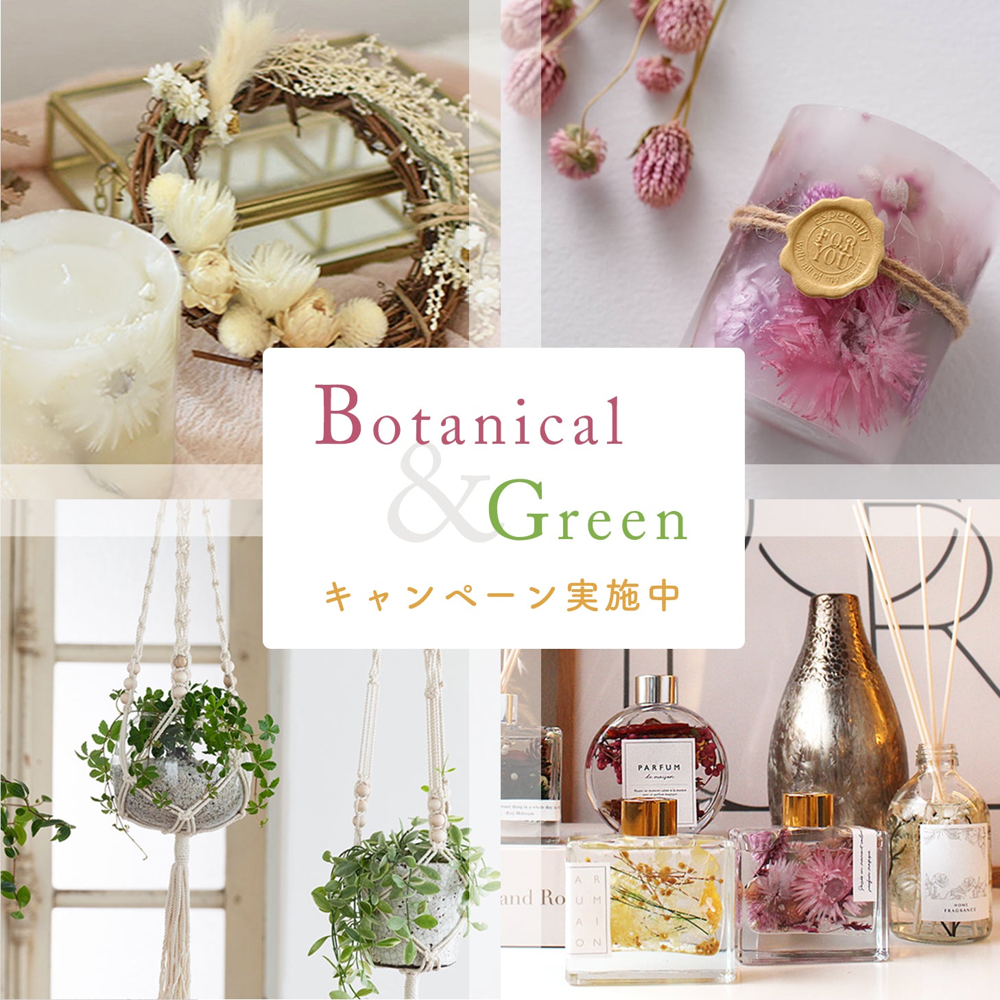 【終了しました】Botanical＆Greenキャンペーン実施中♪