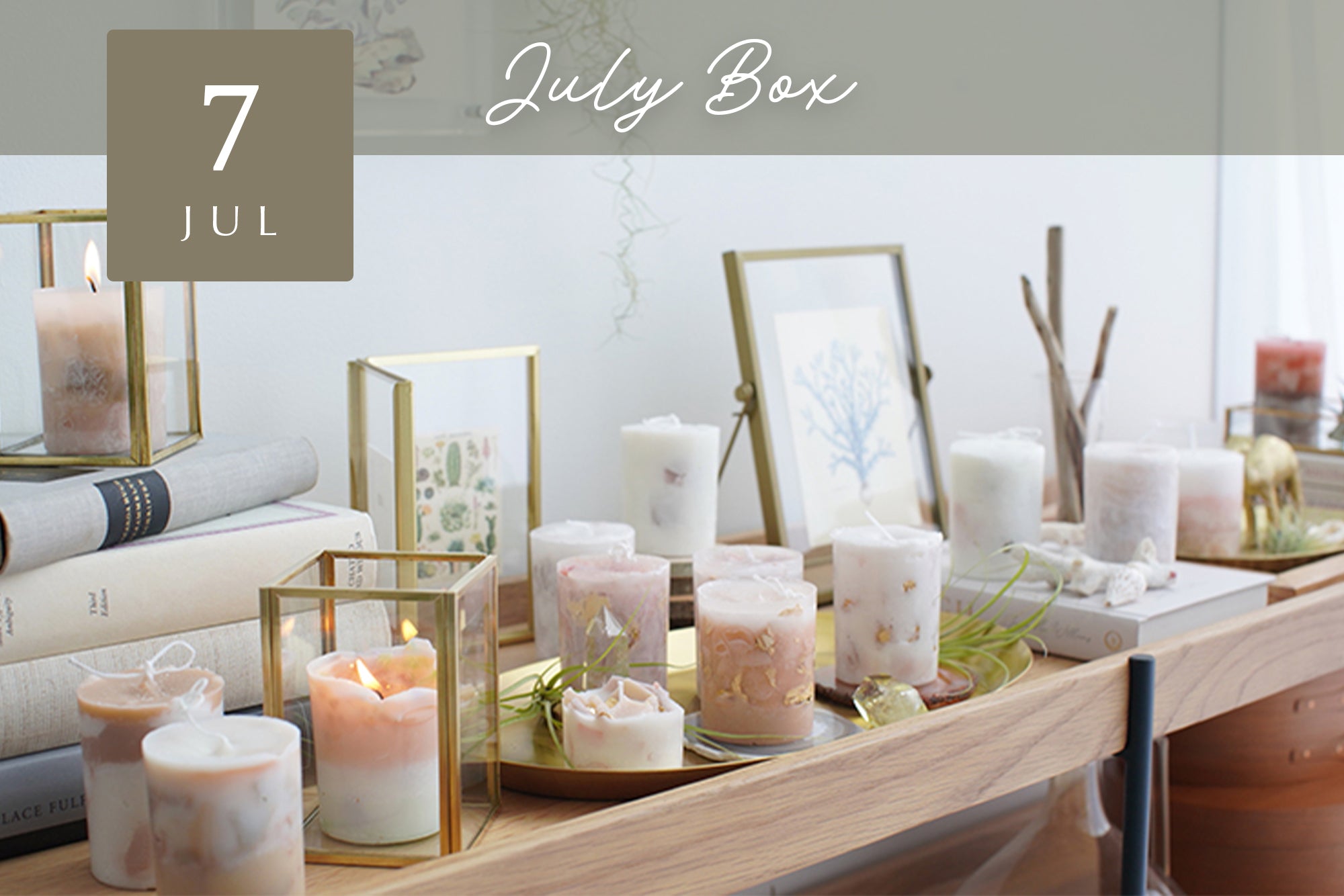 【Craftie Home Box / 22年7月】メンバーページ