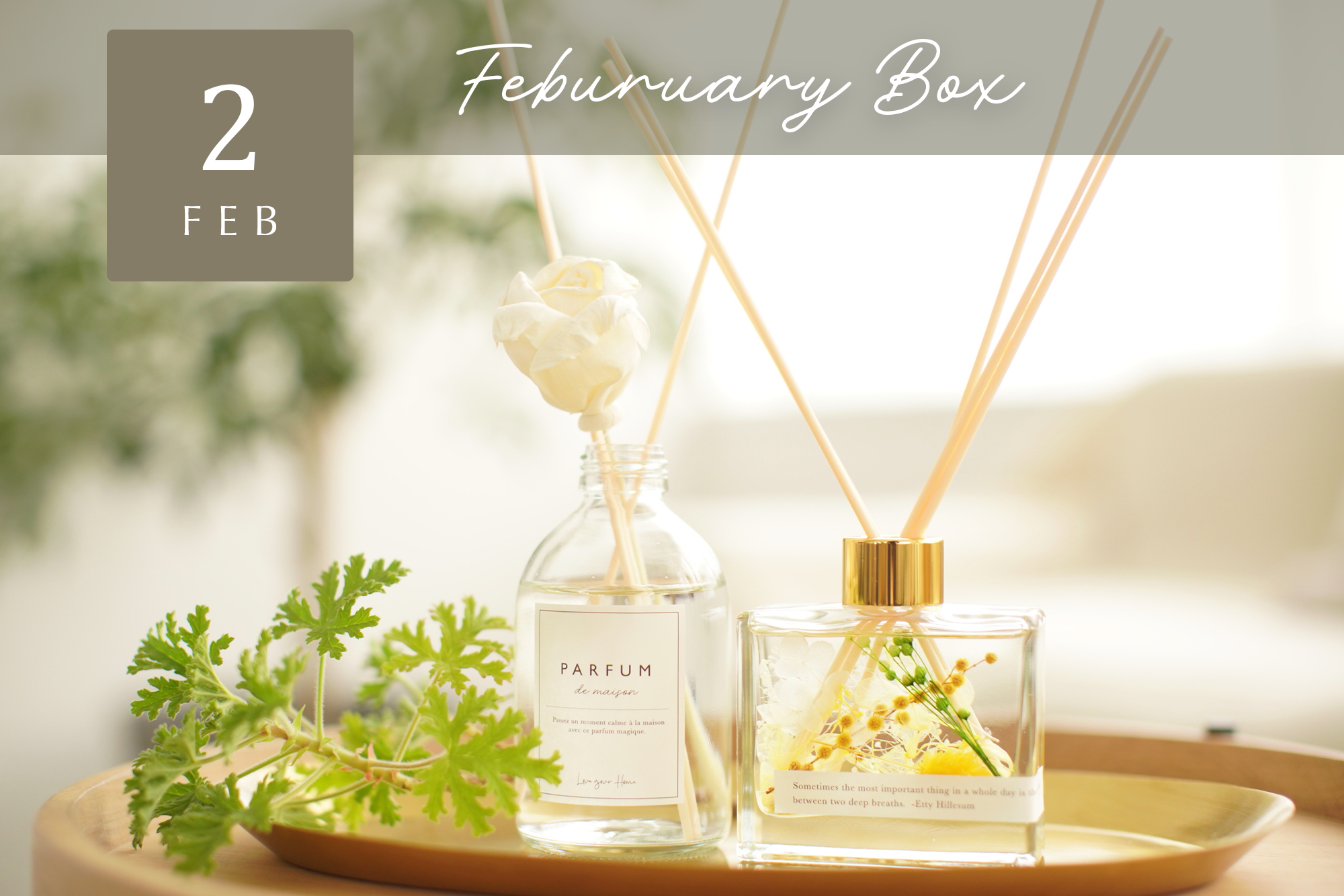 【Craftie Home Box 2期生 / 23年2月】メンバーページ