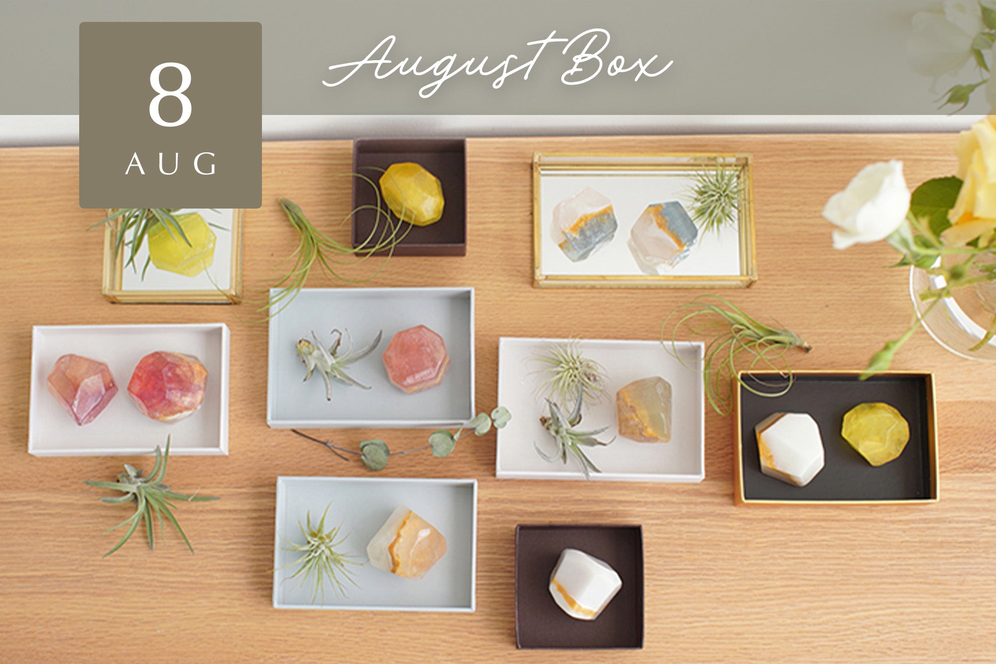 【Craftie Home Box 2期生 / 23年8月】メンバーページ