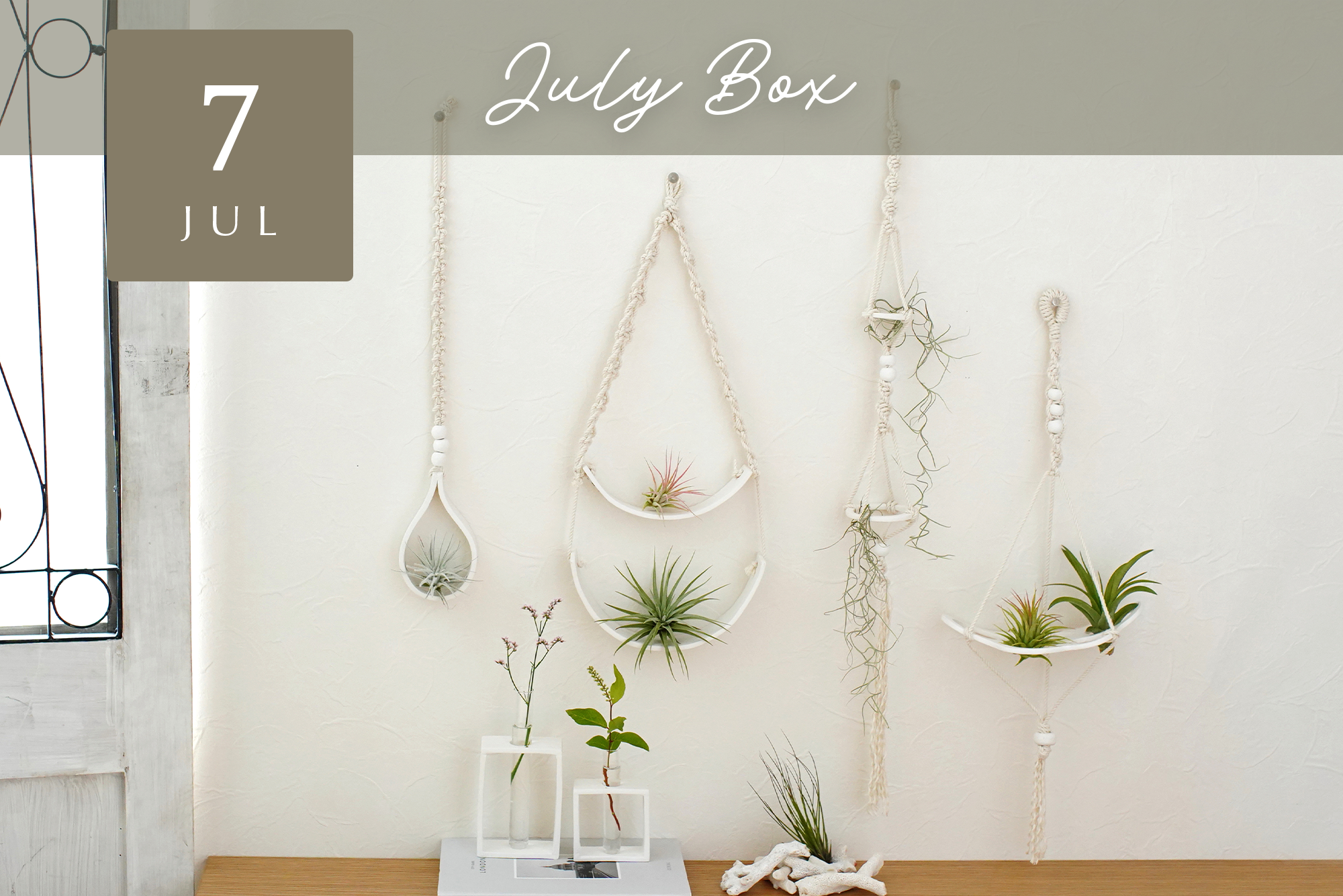 【Craftie Home Box 1期生 / 23年7月】メンバーページ