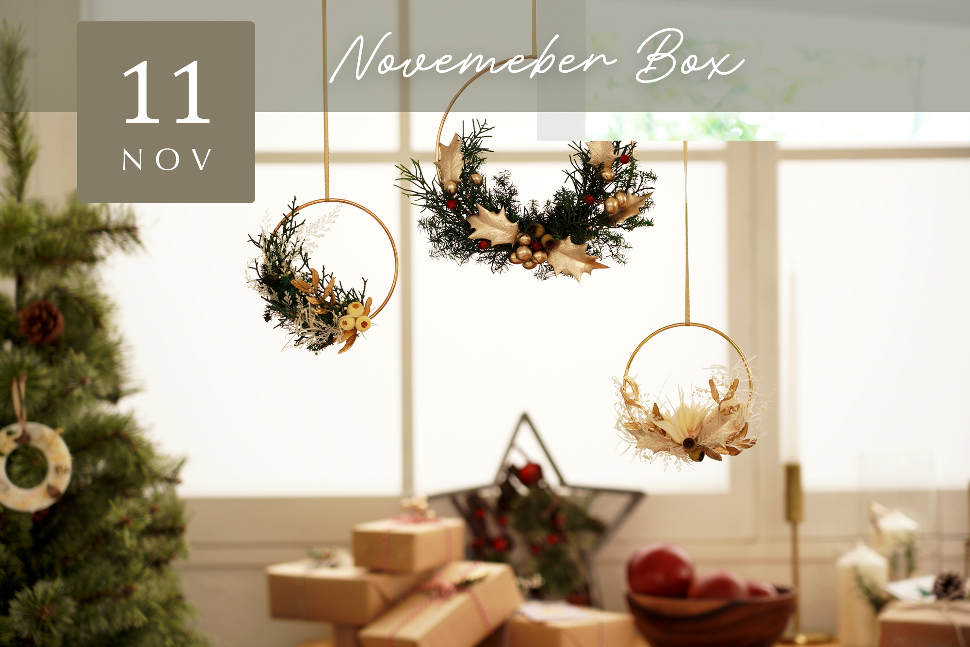 【Craftie Home Box 2期生 / 22年11月】メンバーページ 　