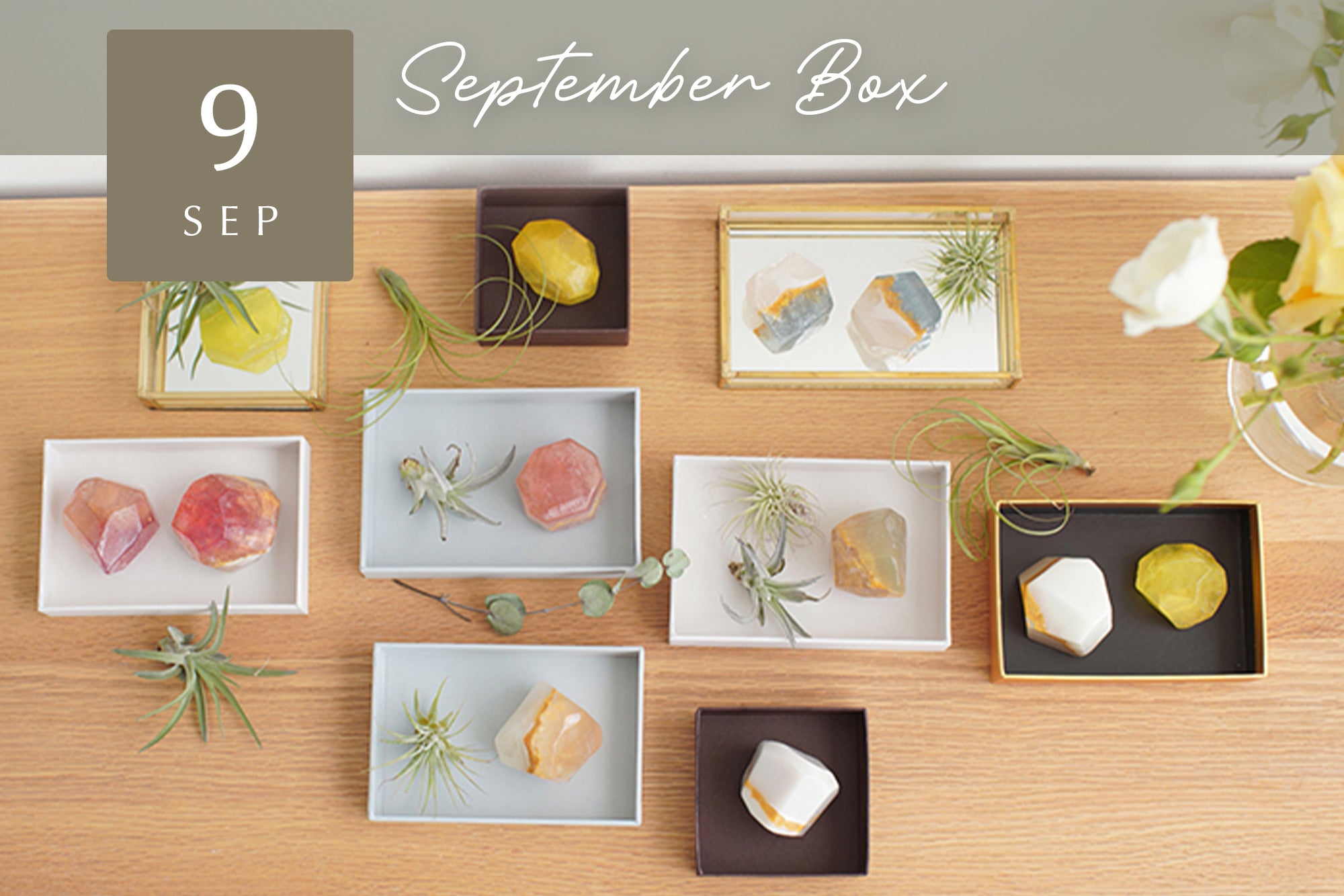 【Craftie Home Box 1期生 / 22年9月】メンバーページ