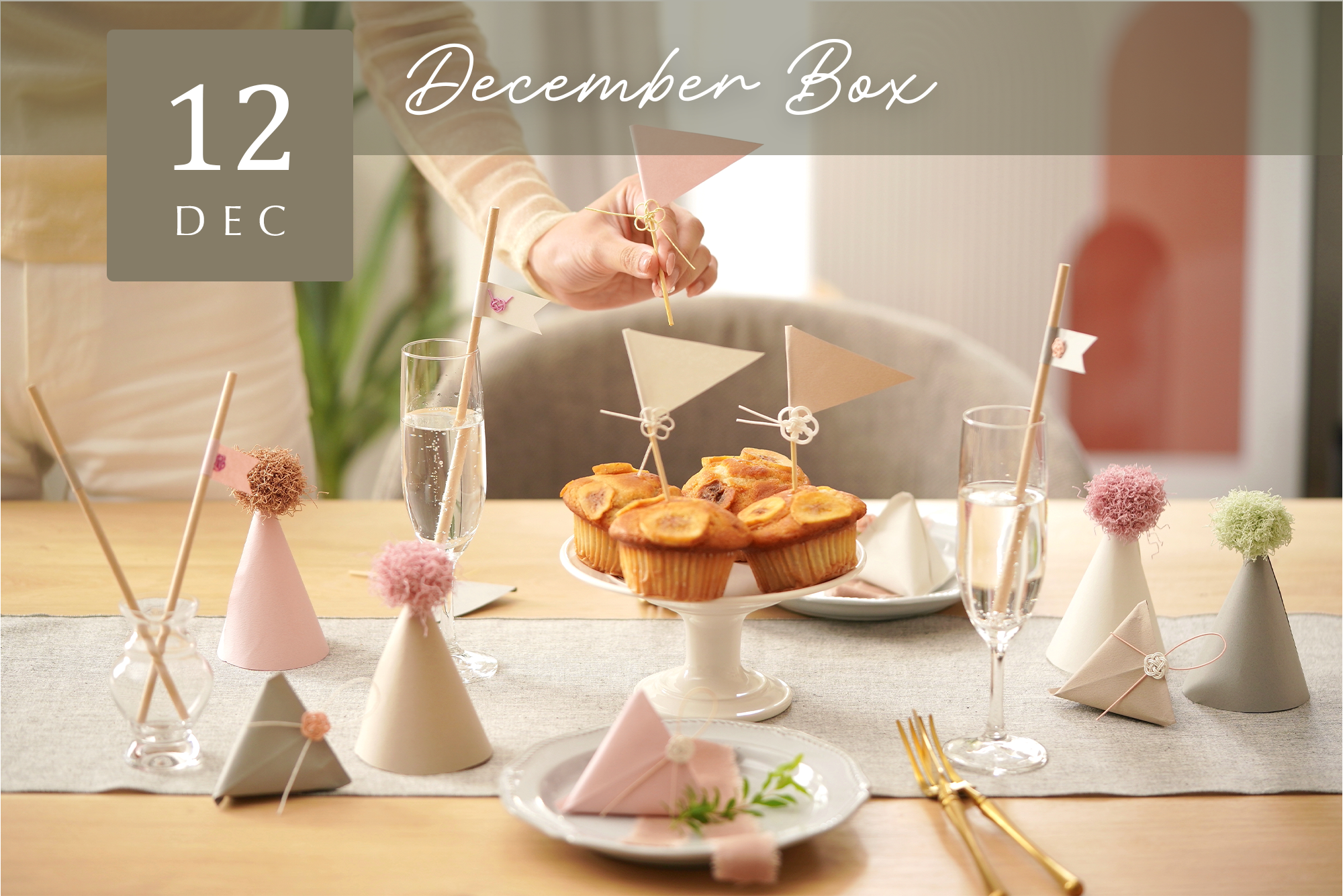 【Craftie Home Box 1期生 / 23年12月】メンバーページ