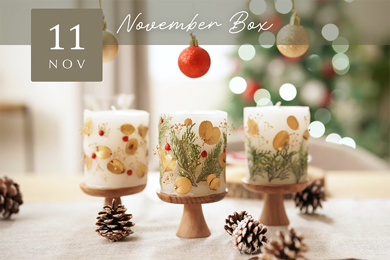 【Craftie Home Box 1期生 / 23年11月】メンバーページ