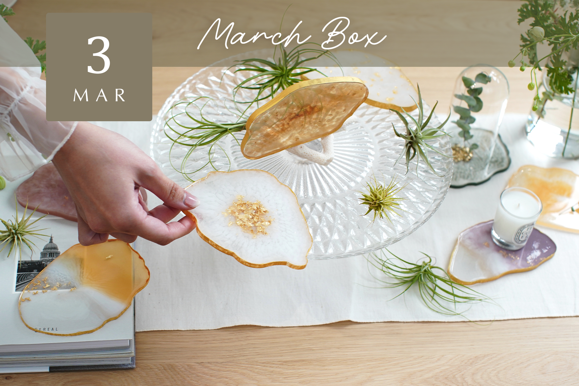 【Craftie Home Box 1期生 / 23年3月】メンバーページ 　