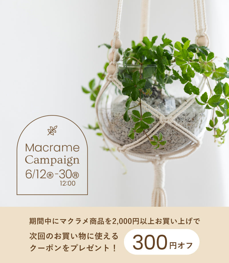 【終了しました】マクラメキャンペーン開催中♪