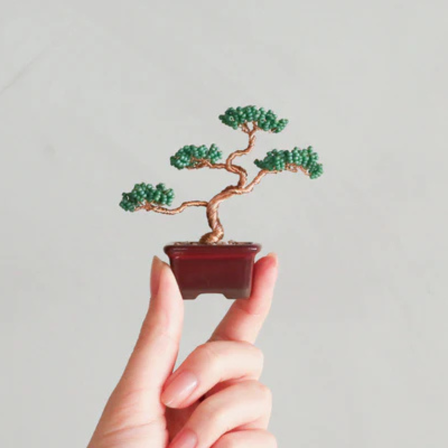 ネジッテBONSAIキット（桜）/  MIYUKI FACTORY