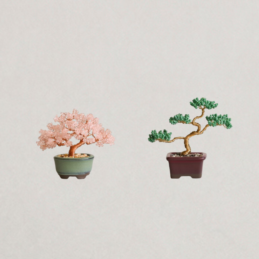 ネジッテBONSAIキット（桜）/  MIYUKI FACTORY