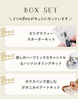 カリグラフィーとガラスペンが楽しめるレタリングBOXセット【送料無料】
