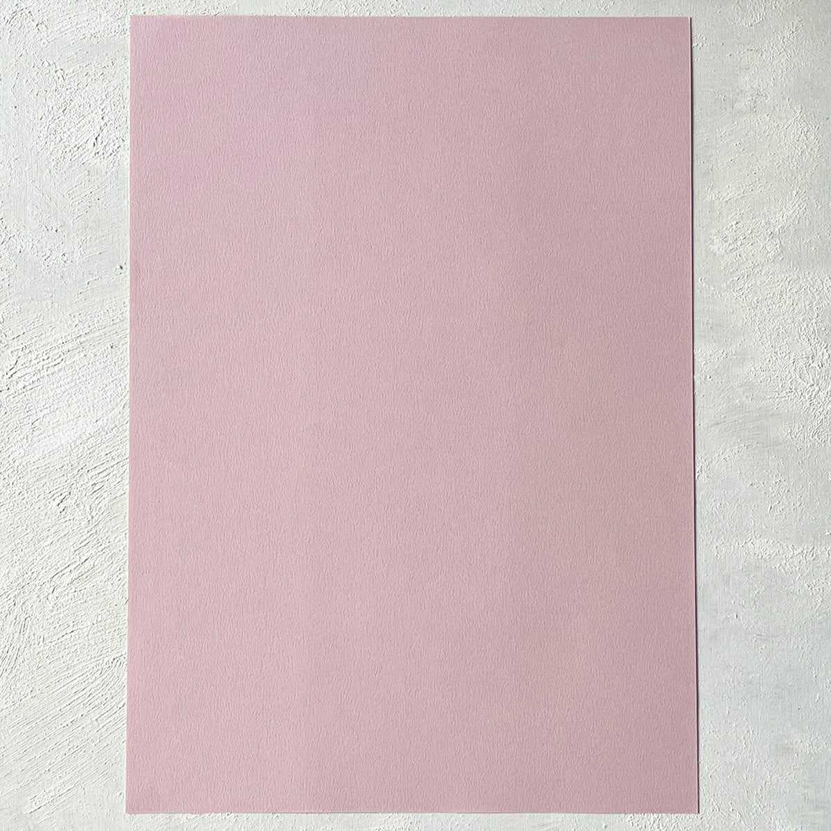 IMG_2563_4100x.jpg?v=1702289103