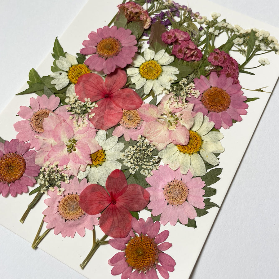 押し花セット