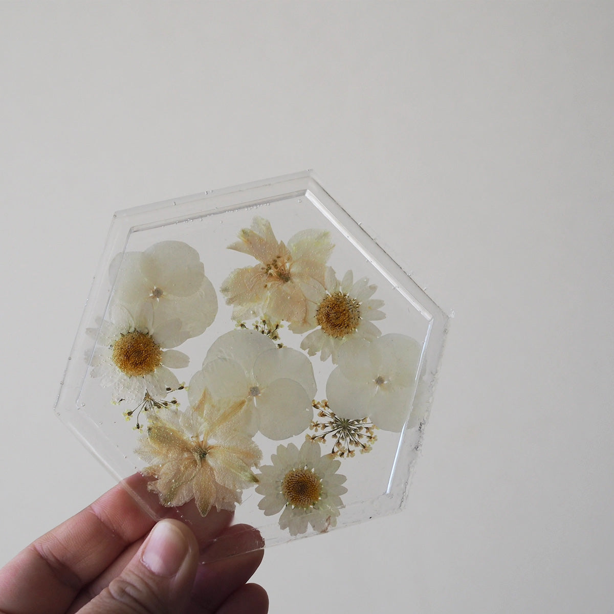 押し花セット – Craftie Home (クラフティホーム)
