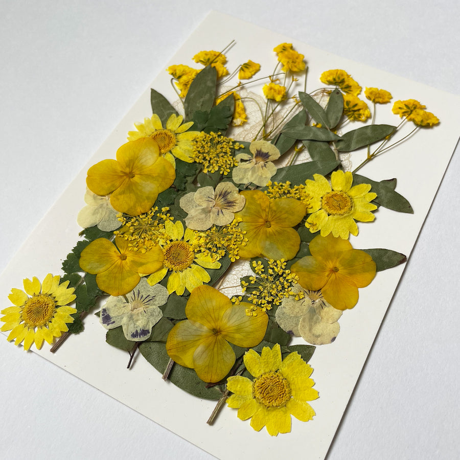 押し花セット
