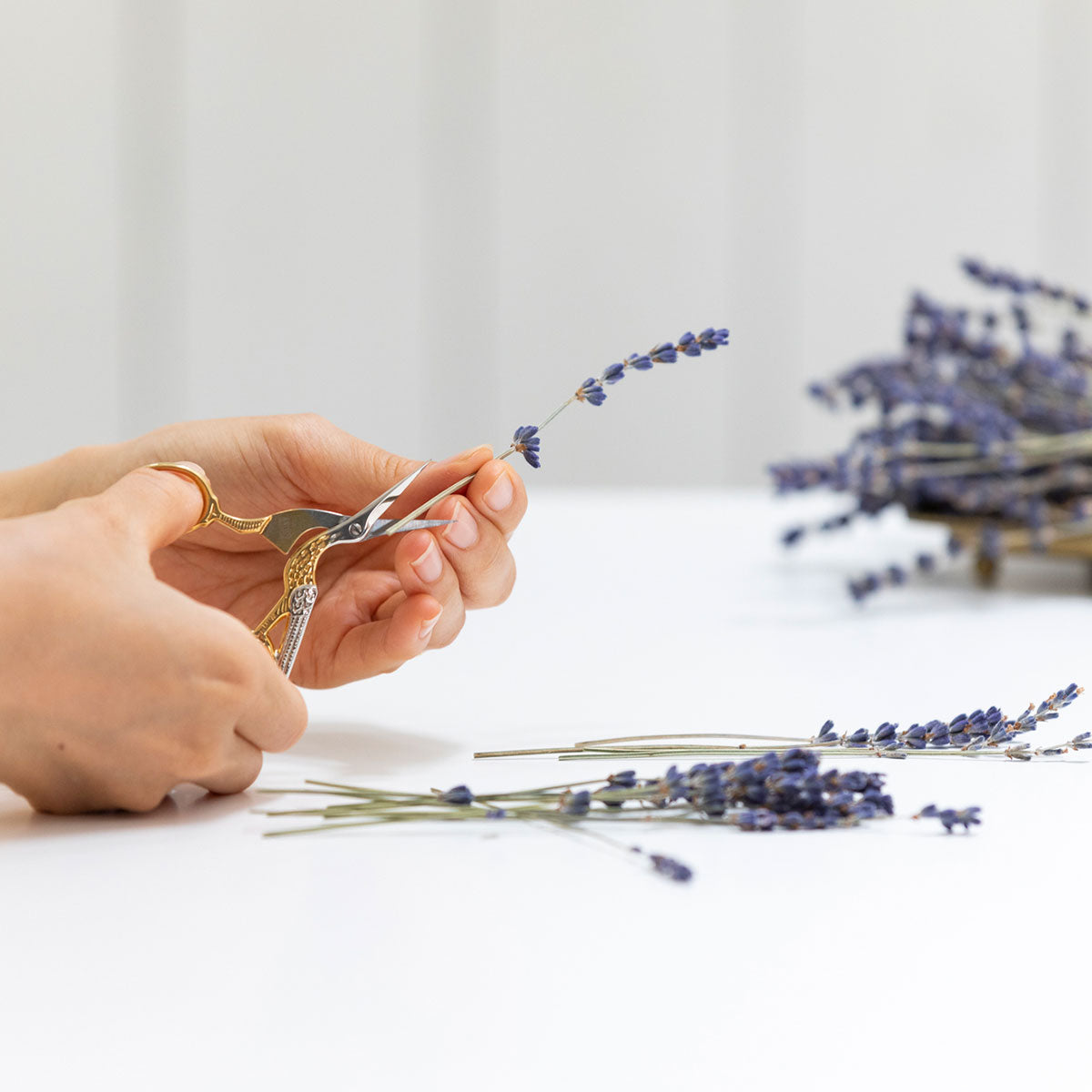 ラベンダーの花材セット（30本） – Craftie Home (クラフティホーム)