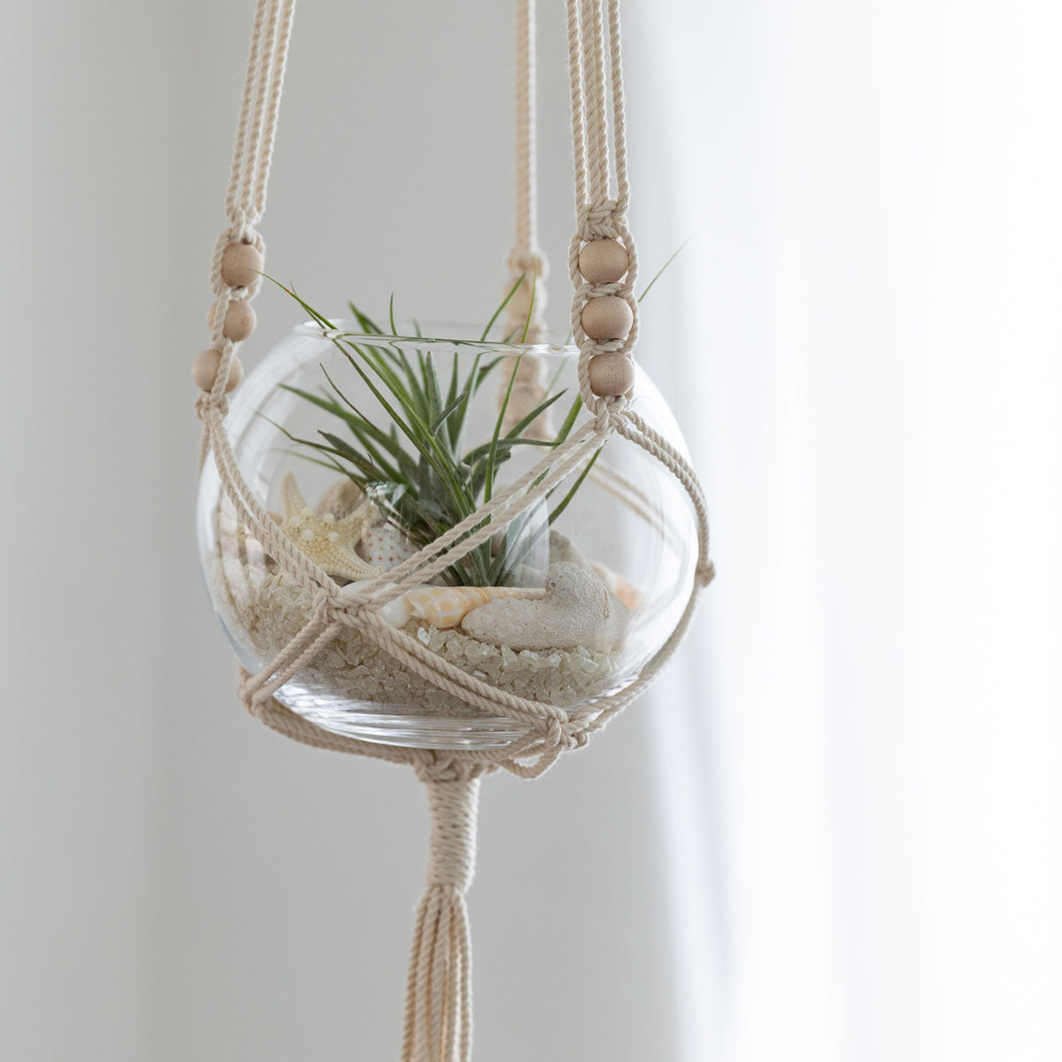 D2_2207_b402a619-634e-42c0-