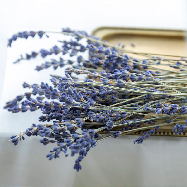 ラベンダーの花材セット（30本） – Craftie Home (クラフティホーム)