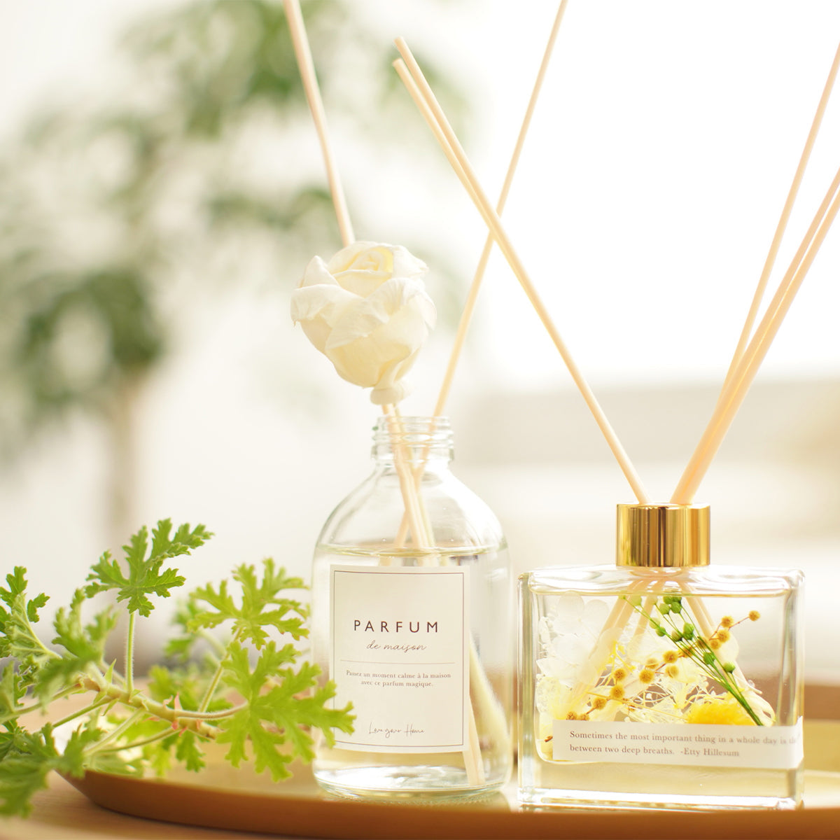 フレグランス – Craftie Home (クラフティホーム)