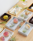 石けんで作る 癒しのインテリアストーンキット【送料無料】