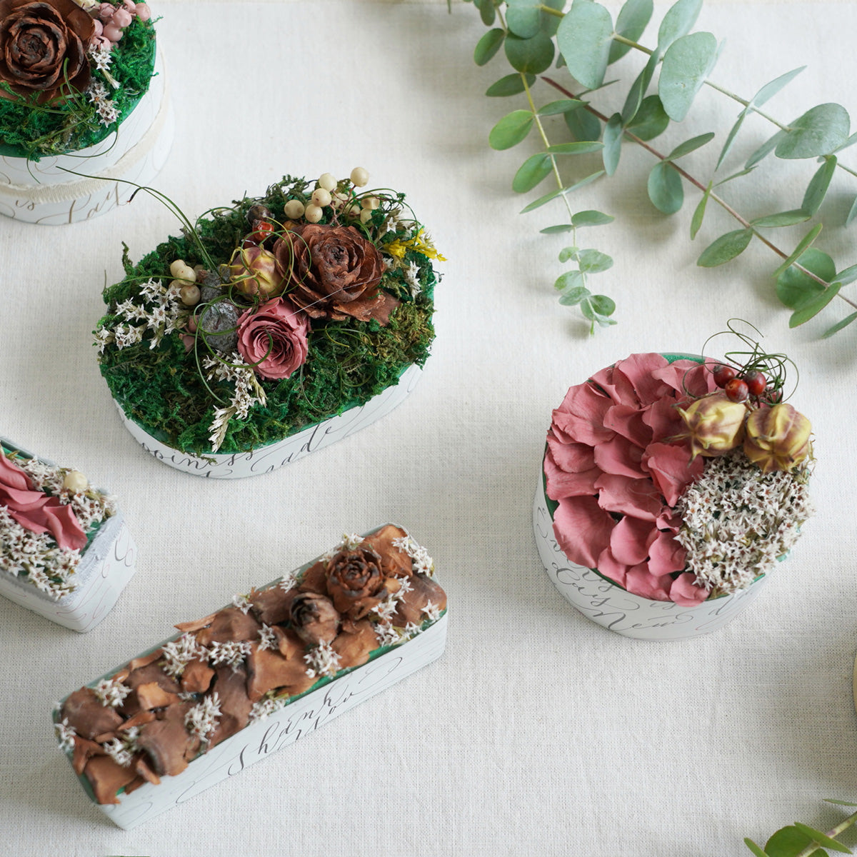 DSC01224fin_ed3794b1-7952-4028