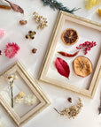 フレーム（大）＋テグス3mセット
